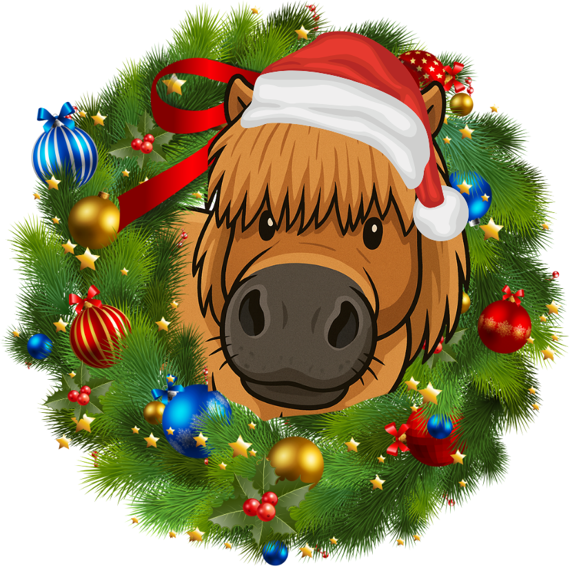 Personalised Christmas Rotating Bauble